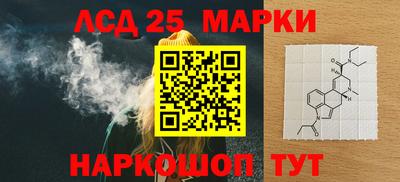 гашик Будённовск
