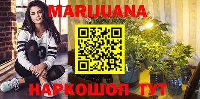 гашик Аргун