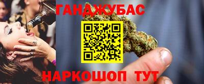 гашик Аргун