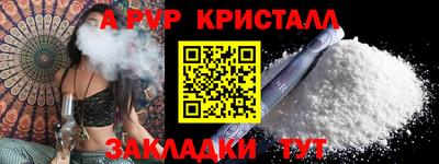гашик Будённовск