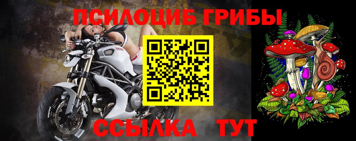 Псилоцибиновые грибы MAGIC MUSHROOMS Артёмовский